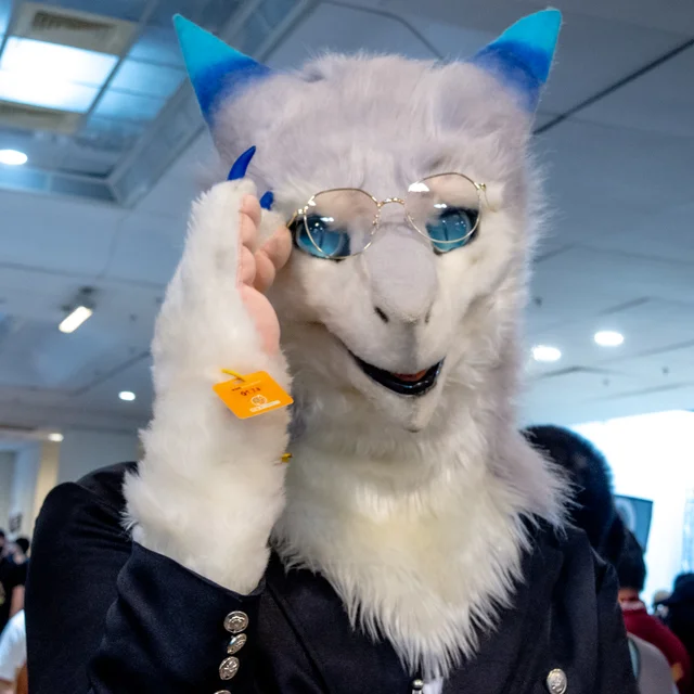 DSCN7151