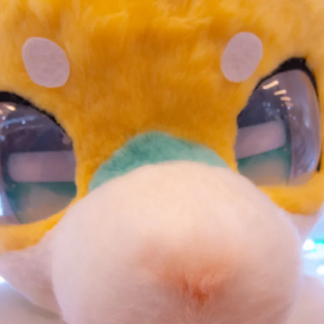 DSCN7179