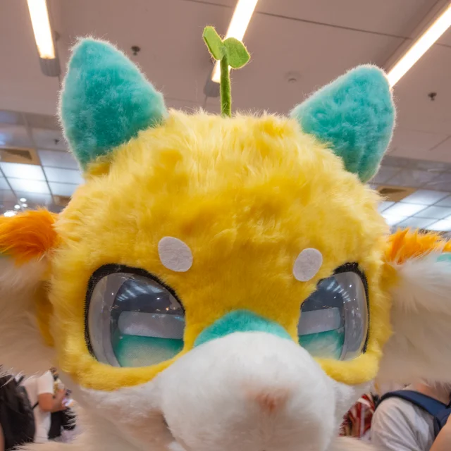 DSCN7208