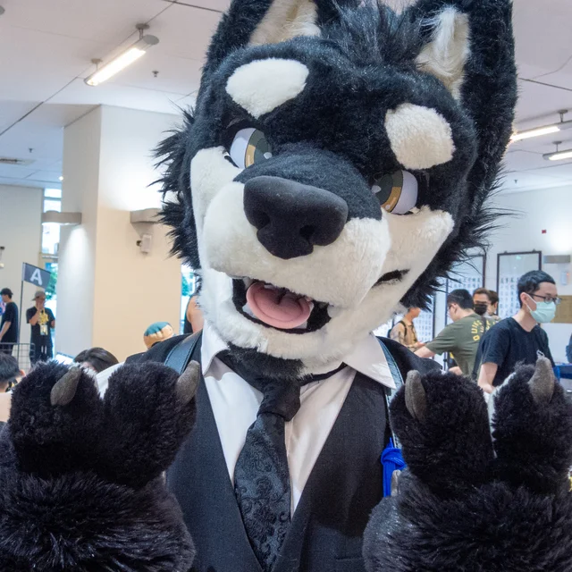 DSCN7234